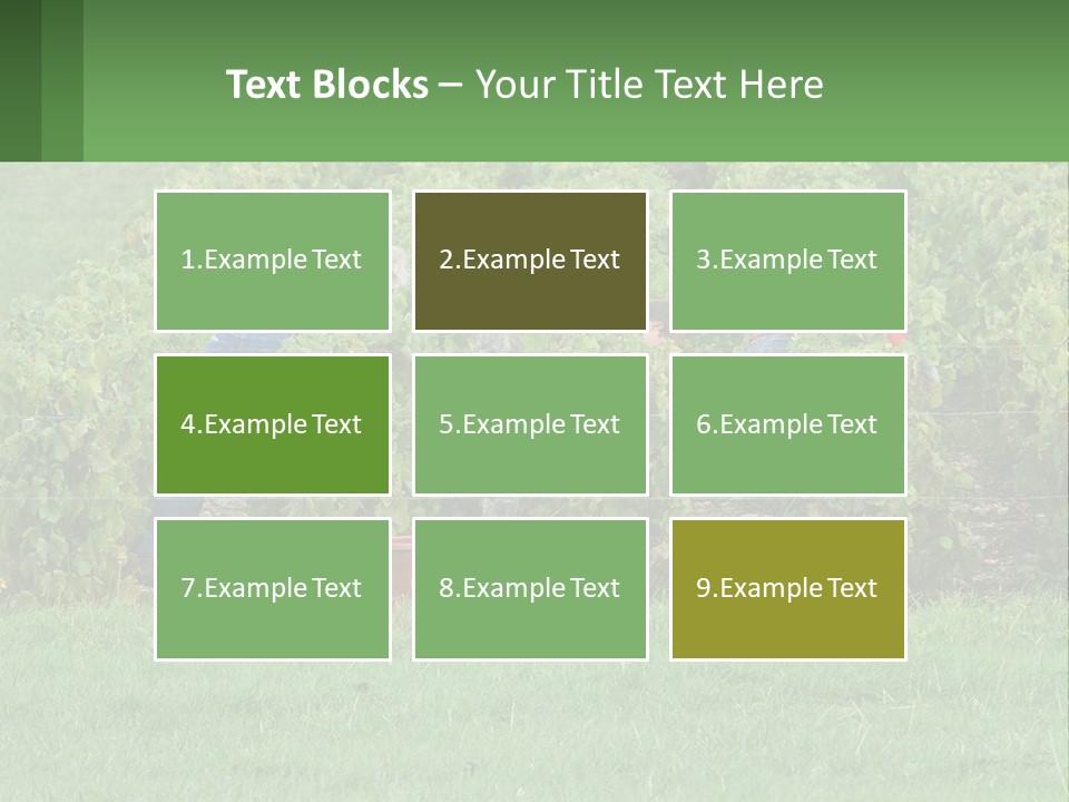 Parent Life Portrait PowerPoint Template
