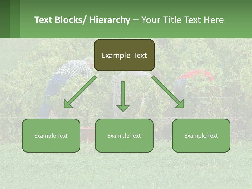 Parent Life Portrait PowerPoint Template