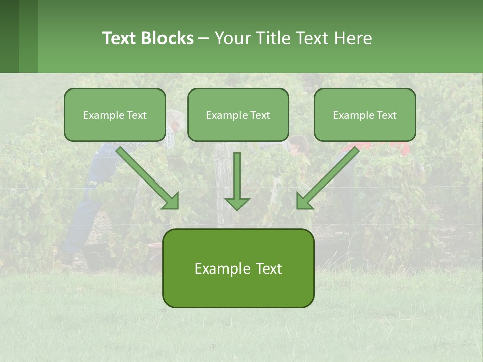 Parent Life Portrait PowerPoint Template