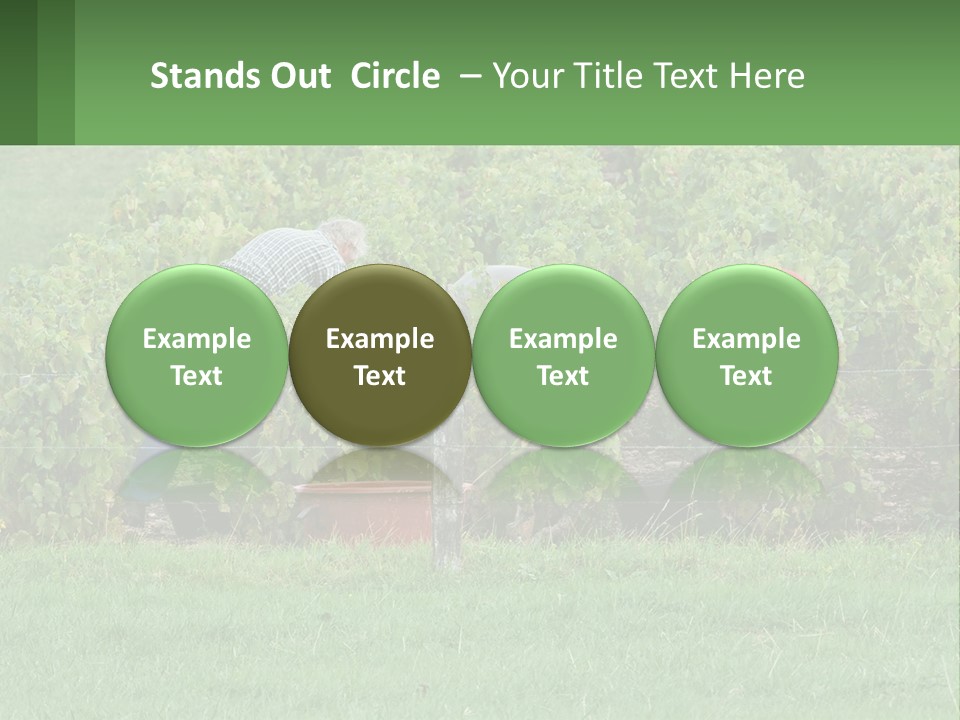 Parent Life Portrait PowerPoint Template