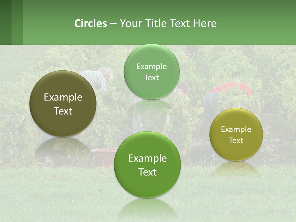 Parent Life Portrait PowerPoint Template