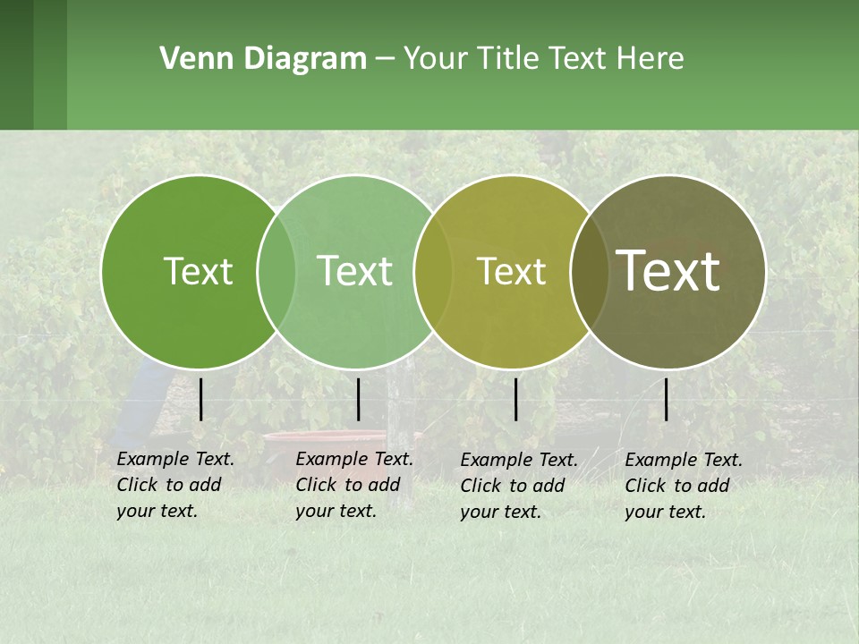 Parent Life Portrait PowerPoint Template