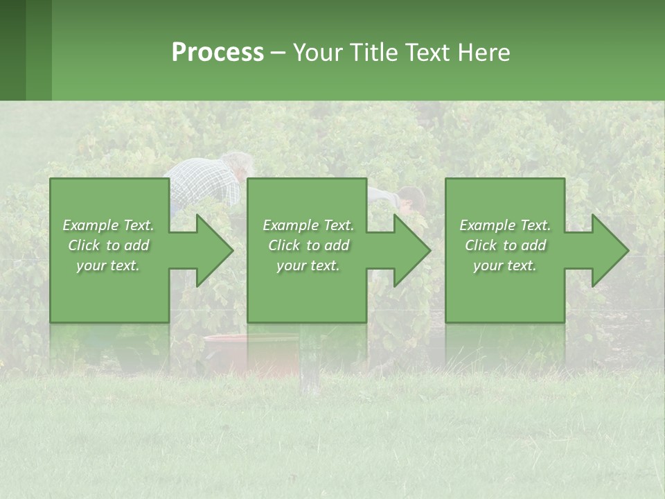 Parent Life Portrait PowerPoint Template