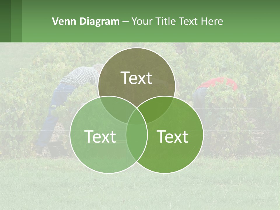 Parent Life Portrait PowerPoint Template