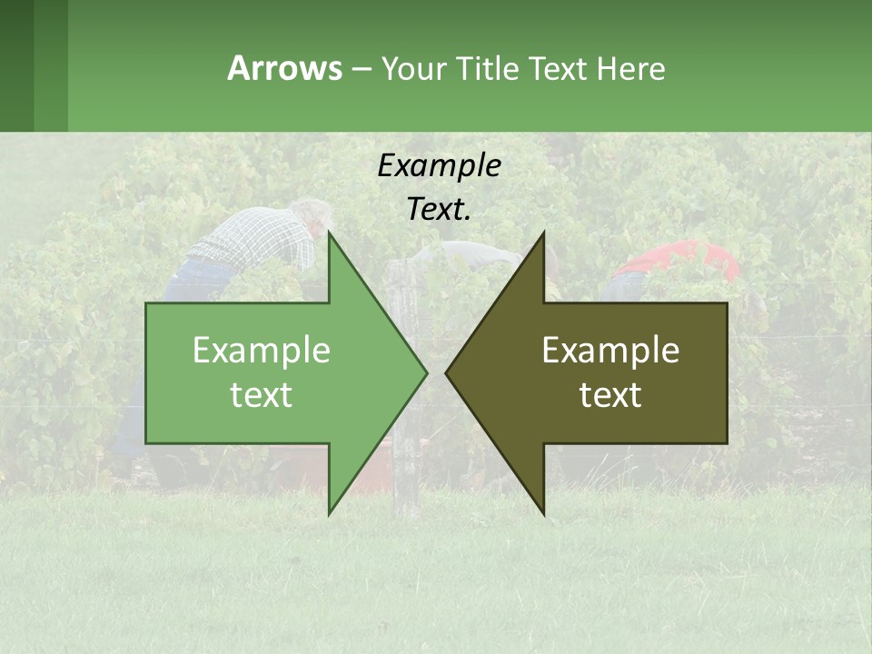 Parent Life Portrait PowerPoint Template