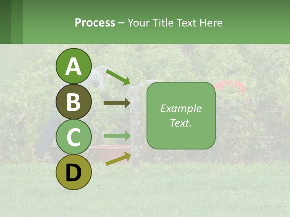 Parent Life Portrait PowerPoint Template