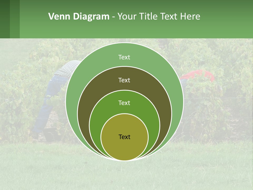 Parent Life Portrait PowerPoint Template