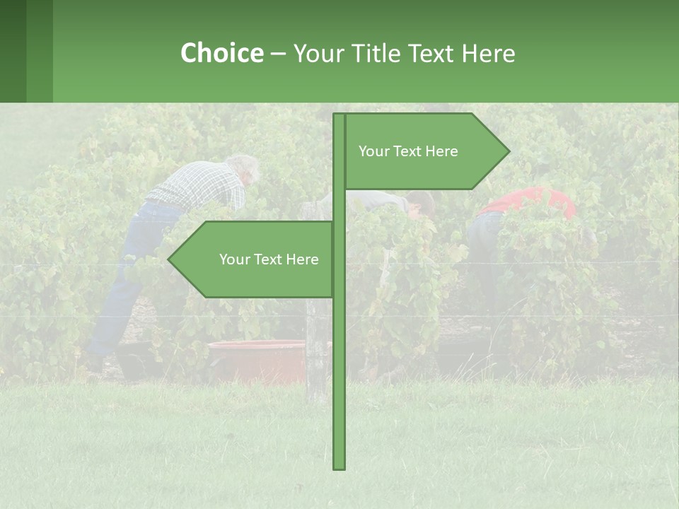 Parent Life Portrait PowerPoint Template