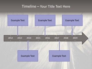 Caucasian Life Pensioner PowerPoint Template
