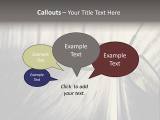 Caucasian Life Pensioner PowerPoint Template