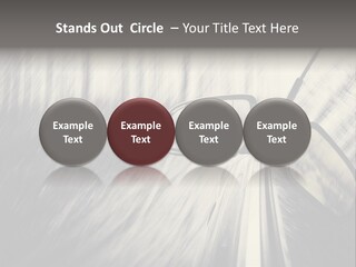 Caucasian Life Pensioner PowerPoint Template