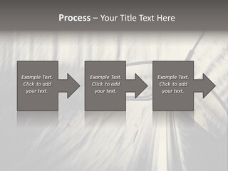 Caucasian Life Pensioner PowerPoint Template