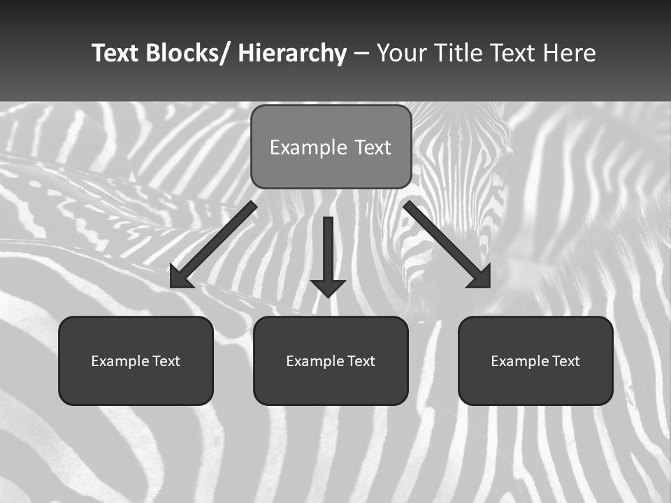 Wave Old Beach PowerPoint Template