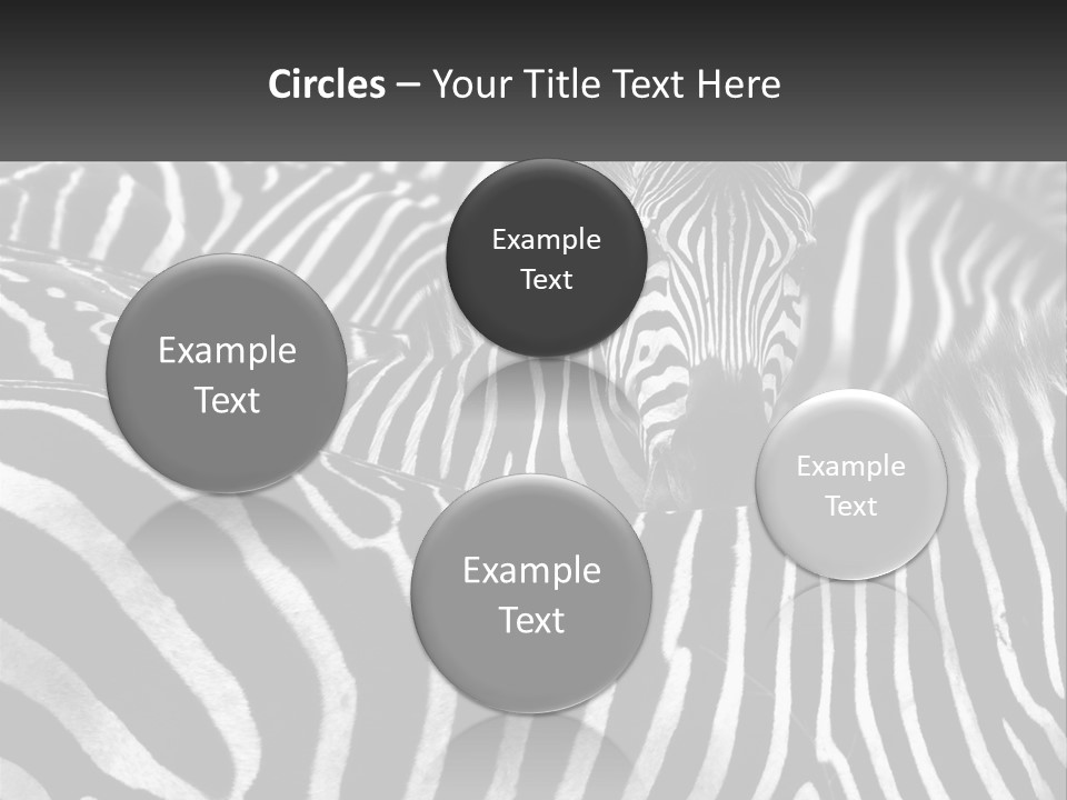 Wave Old Beach PowerPoint Template