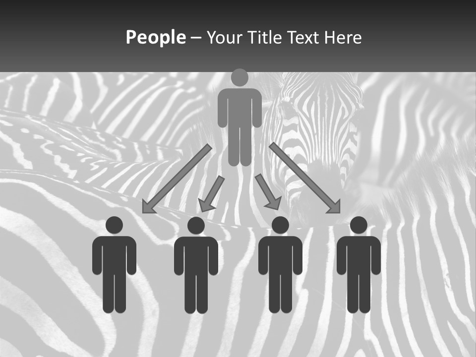 Wave Old Beach PowerPoint Template