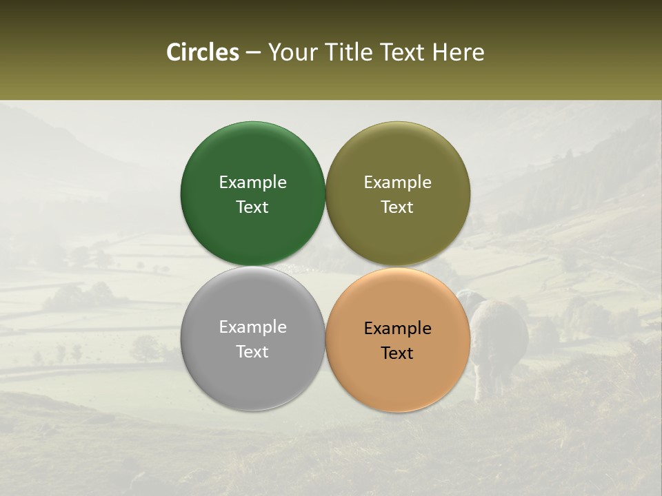 Calm Sea Older PowerPoint Template