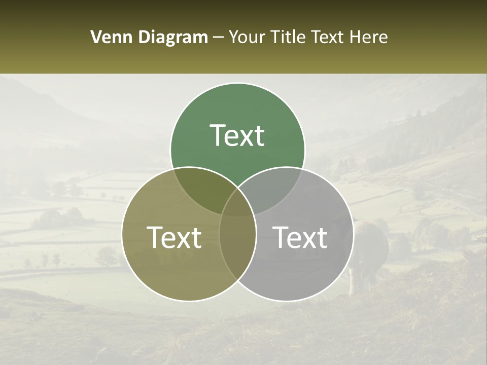 Calm Sea Older PowerPoint Template