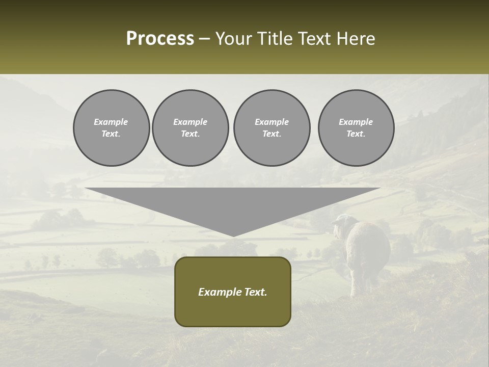 Calm Sea Older PowerPoint Template