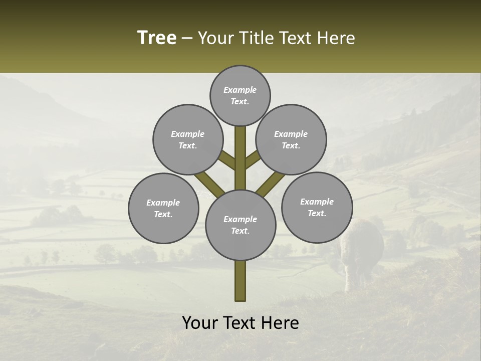 Calm Sea Older PowerPoint Template