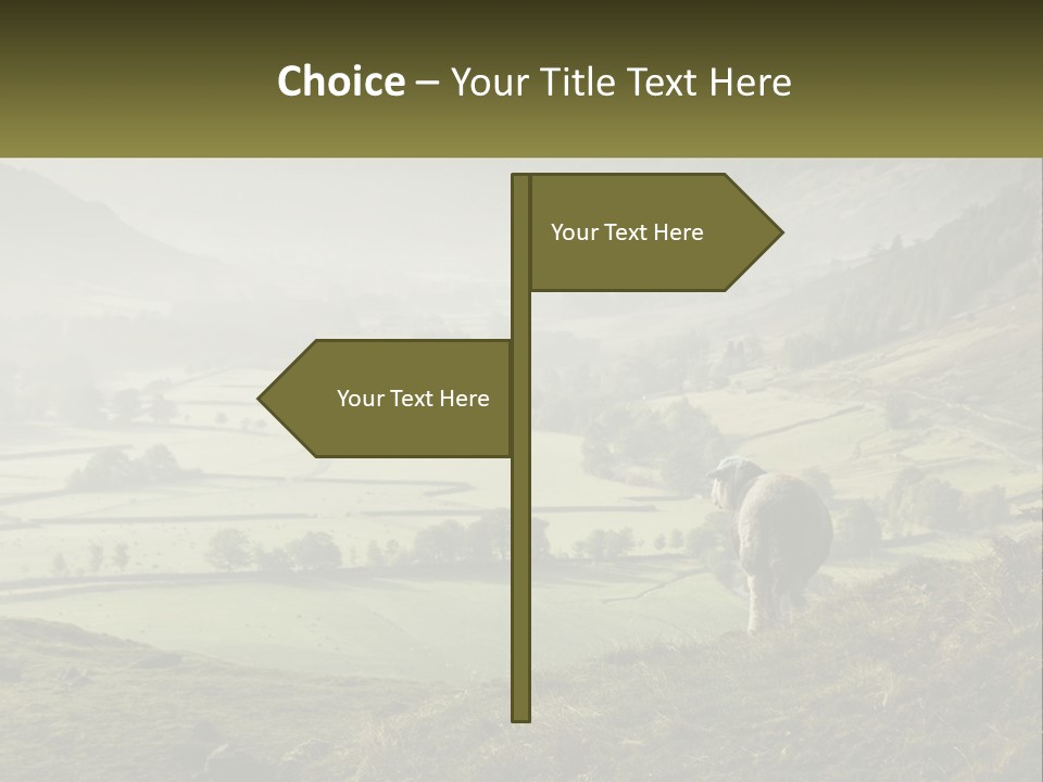 Calm Sea Older PowerPoint Template