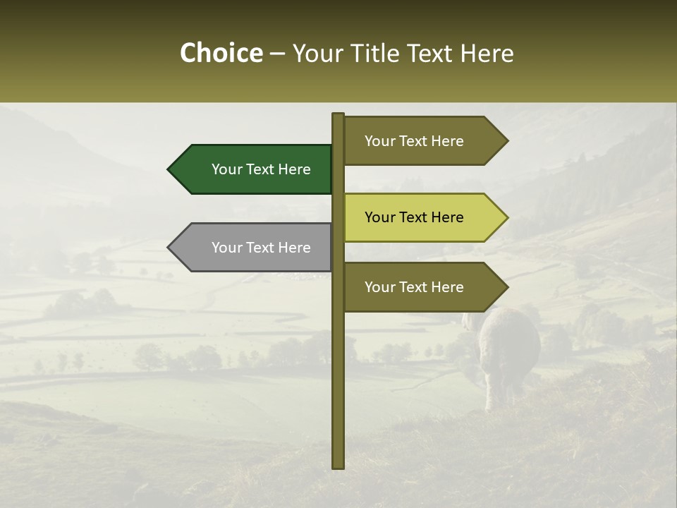 Calm Sea Older PowerPoint Template