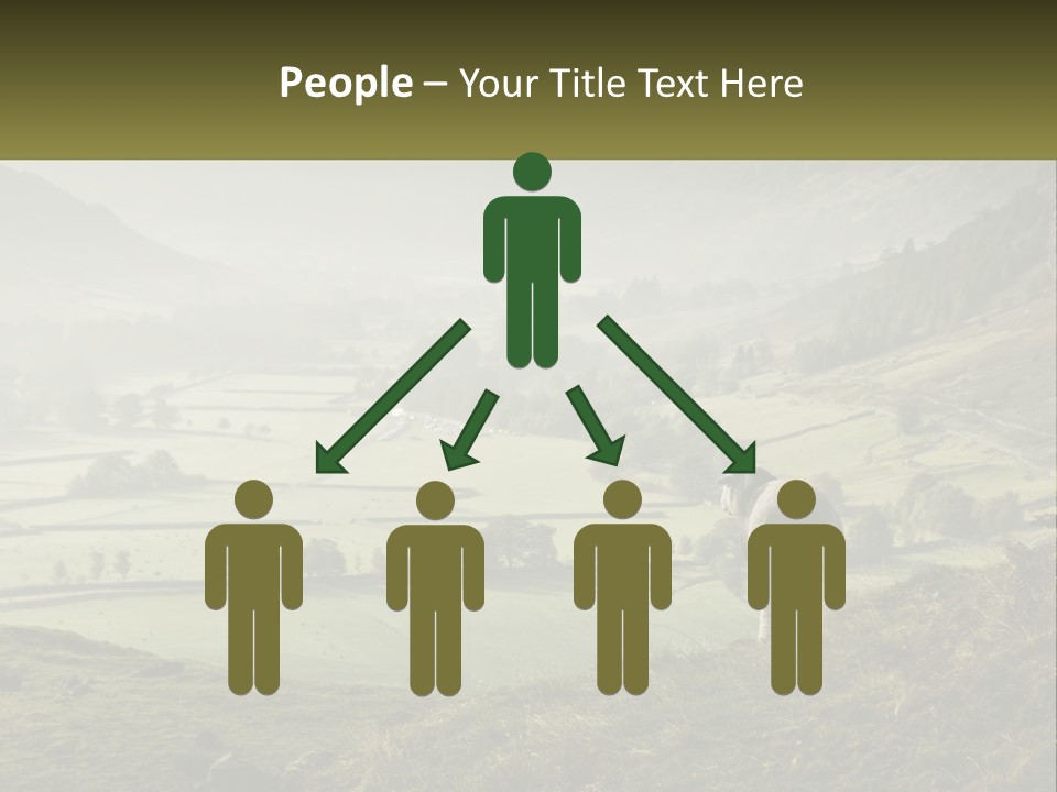 Calm Sea Older PowerPoint Template