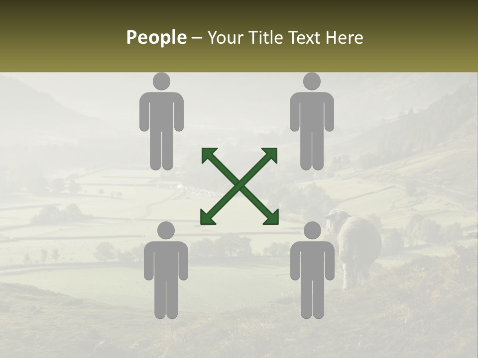 Calm Sea Older PowerPoint Template