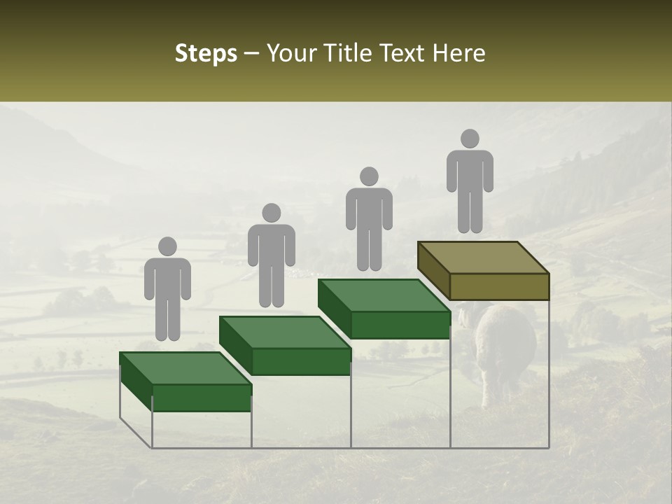 Calm Sea Older PowerPoint Template