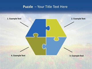 White Single Senior PowerPoint Template