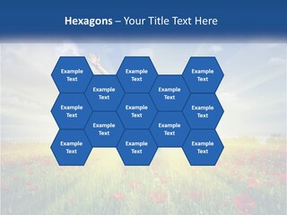 White Single Senior PowerPoint Template