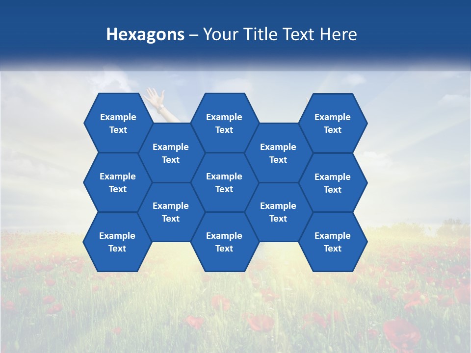 White Single Senior PowerPoint Template