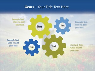 White Single Senior PowerPoint Template