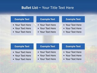 White Single Senior PowerPoint Template