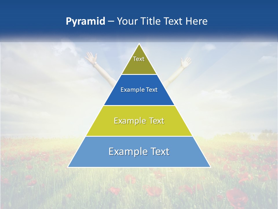 White Single Senior PowerPoint Template