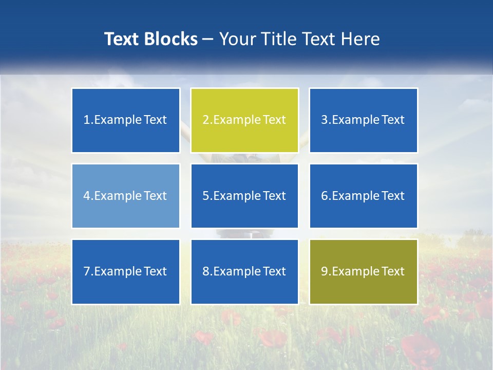 White Single Senior PowerPoint Template