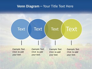 White Single Senior PowerPoint Template