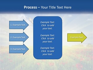 White Single Senior PowerPoint Template