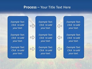 White Single Senior PowerPoint Template