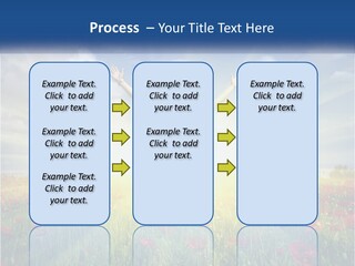 White Single Senior PowerPoint Template
