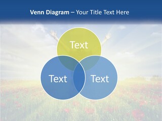 White Single Senior PowerPoint Template