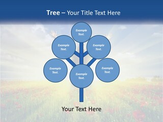 White Single Senior PowerPoint Template