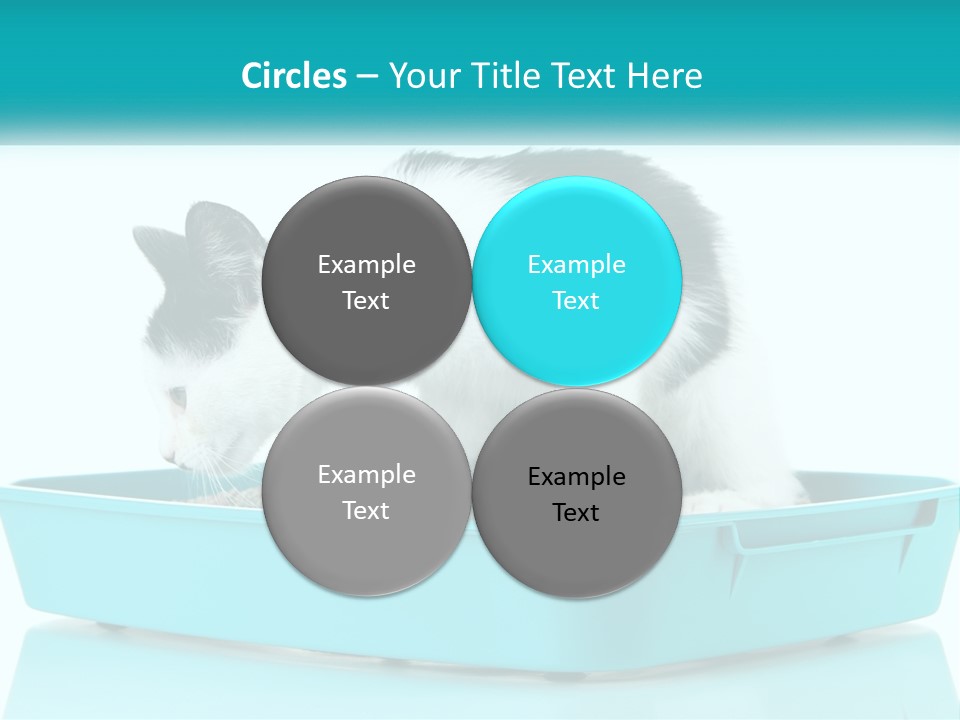 Mother Caucasian Retirement PowerPoint Template