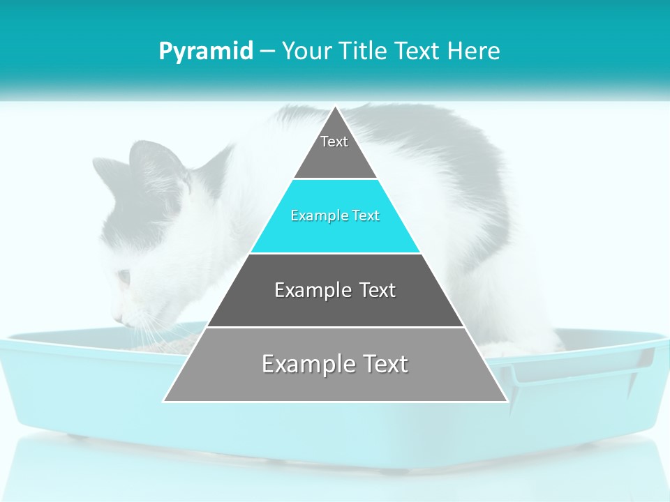 Mother Caucasian Retirement PowerPoint Template