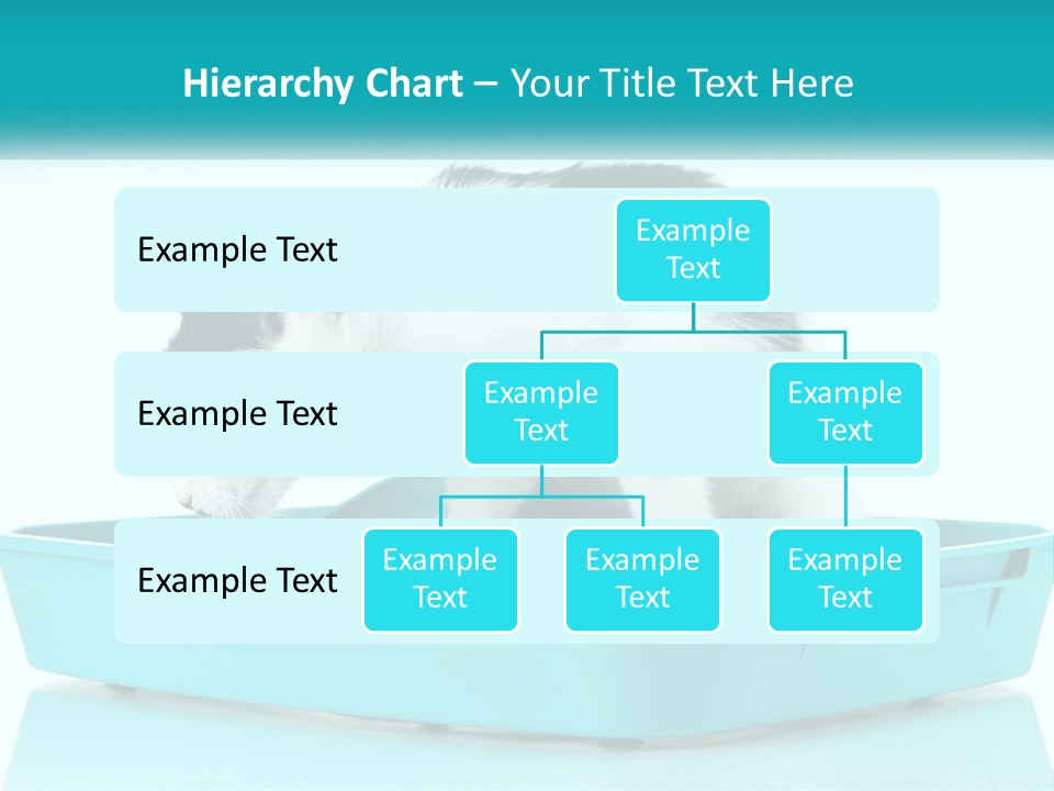 Mother Caucasian Retirement PowerPoint Template