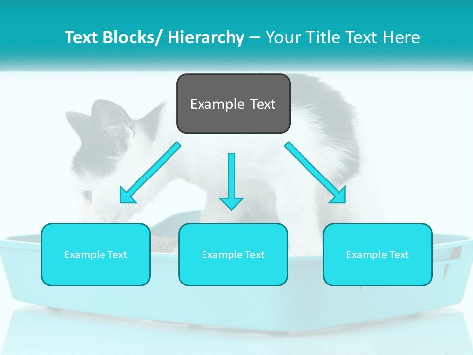 Mother Caucasian Retirement PowerPoint Template