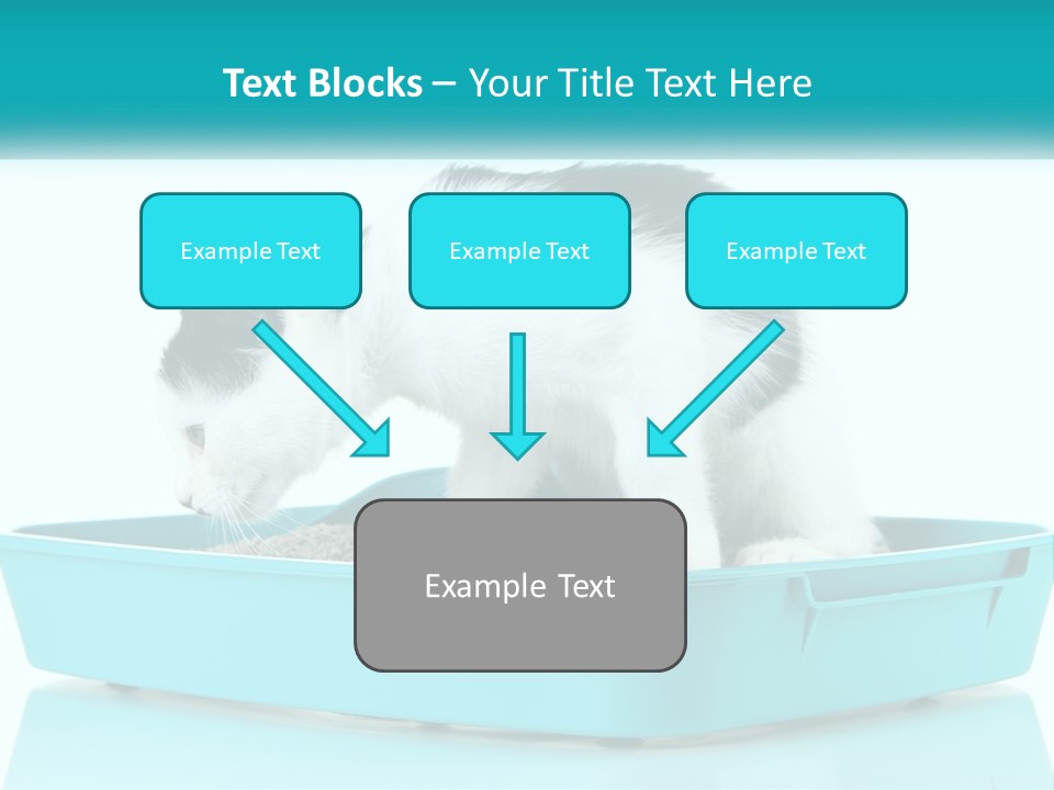 Mother Caucasian Retirement PowerPoint Template