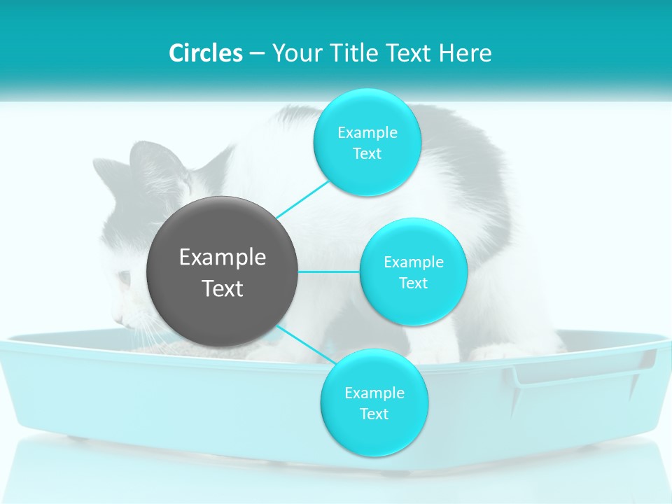 Mother Caucasian Retirement PowerPoint Template