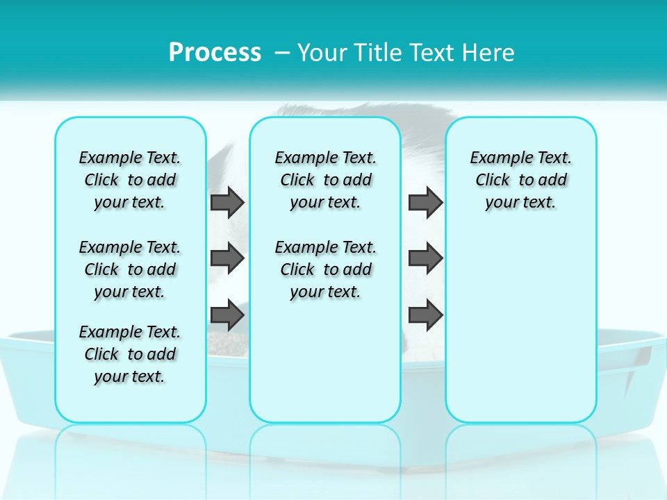 Mother Caucasian Retirement PowerPoint Template