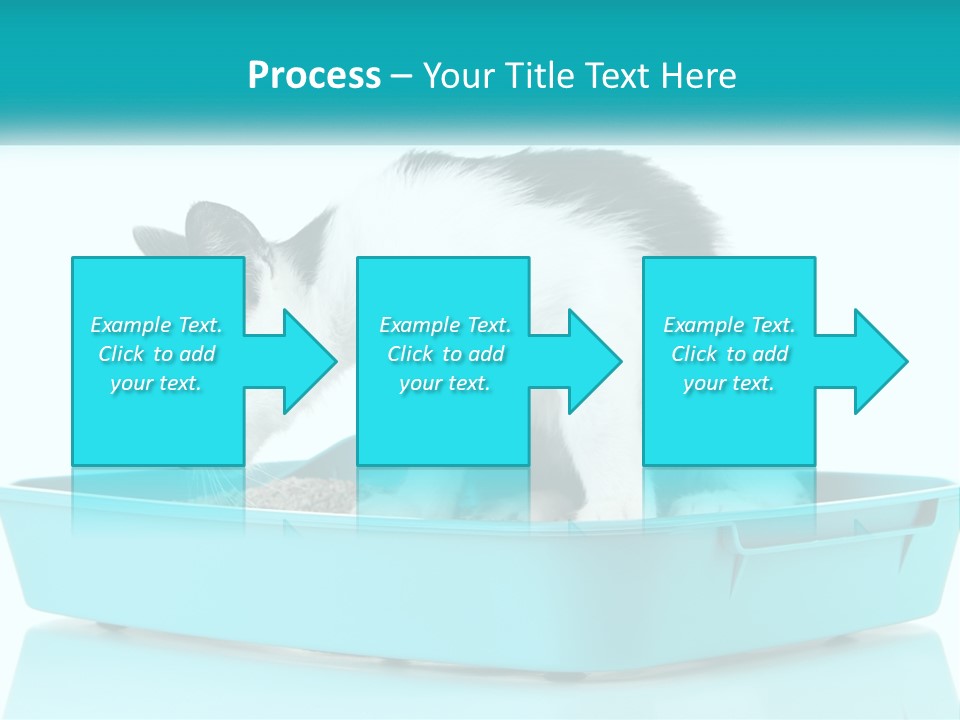 Mother Caucasian Retirement PowerPoint Template