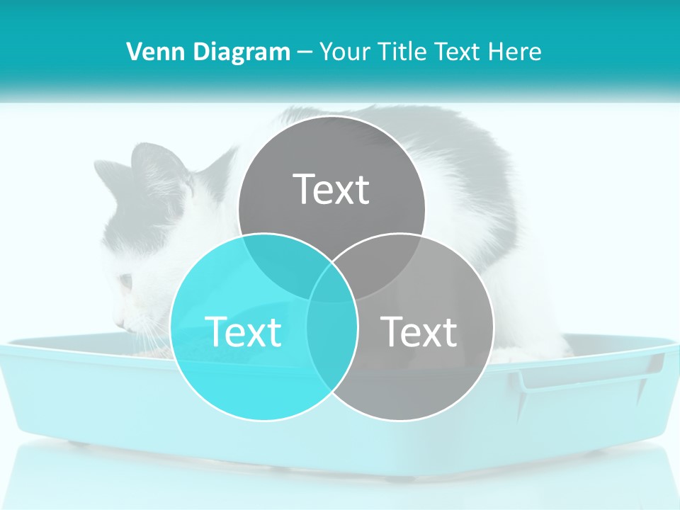 Mother Caucasian Retirement PowerPoint Template